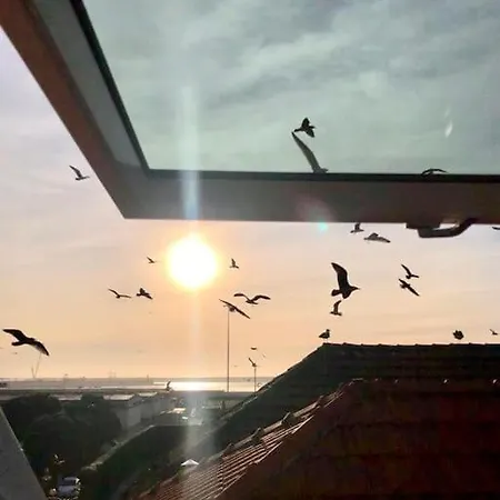 Lobo Do Mar Loft * Matosinhos (Porto)