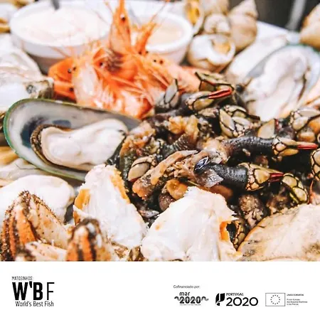 Apartament Lobo Do Mar Loft