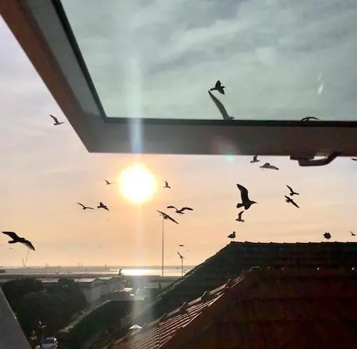 Lobo Do Mar Loft * 마토지뉴스