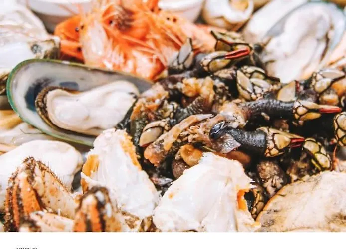 아파트 Lobo Do Mar Loft